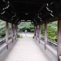 Photo de voyageur Approfondir : Introduction au Japon #1