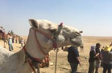 Nile Family Adventure