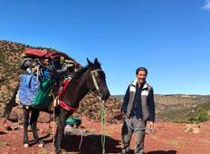 Berber Village Trek (4 days) Tour