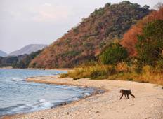 Gombe Nationalpark Tansania (4 Tage) Rundreise
