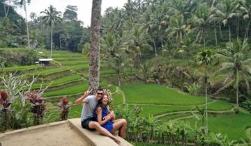 Couple sitting in rice terraces with palm trees in background.