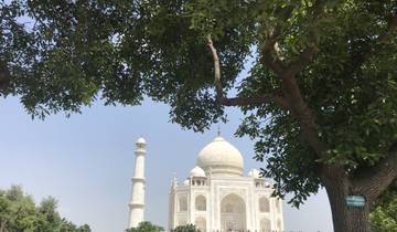 View of the Taj Mahal framed by tree branches with a blue sky