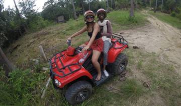 Two people riding an ATV in a forest area.