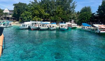 Clear blue water with boats and lush trees.