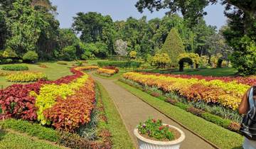 Beautifully landscaped garden with colorful plants and pathways.