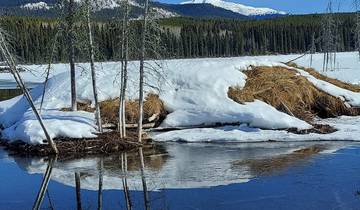 Snow-covered landscape with trees and a river partially frozen.