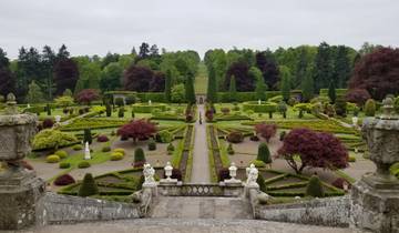A well-maintained garden with elaborate hedges and pathways.