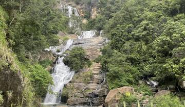 Cascading waterfalls in a densely forested area.