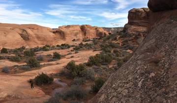 Hiker in a desert landscape with red rock formations.