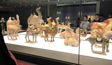 Exhibition with ceramic camel sculptures in a museum.