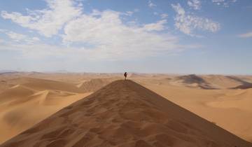 Single person standing on a vast sand dune.