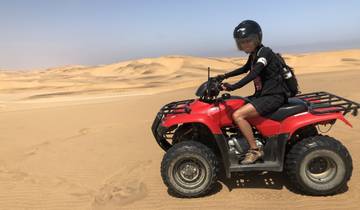 Person riding an ATV on sand dunes in a desert.