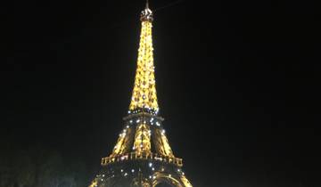 Eiffel Tower illuminated at night against the dark sky.