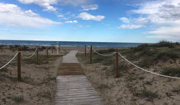 Wooden boardwalk leading to a sandy beach with the ocean.