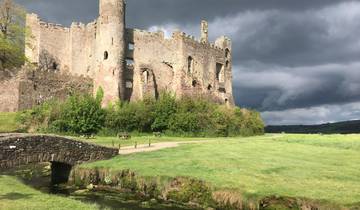 Ruined castle on a grassy landscape under dark clouds.