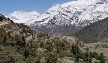 Expansive mountain panorama with snow