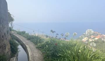 A scenic view of the sea with flowers along a pathway.