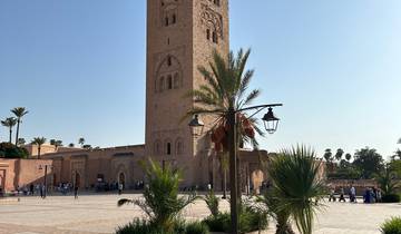 Tall mosque with palm trees on a sunny day.