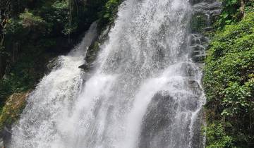 Waterfall cascading down rocks in a jungle.