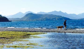 A person walking a dog along a lakeside with mountains in the background.