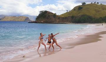 Three people posing playfully on a beach with pink sand and blue waters.