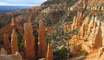 A breathtaking view of Bryce Canyon with its unique rock formations.