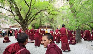 Monks in robes gathered in a courtyard with trees.