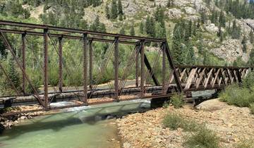 Railway bridge over a river in a forested area.