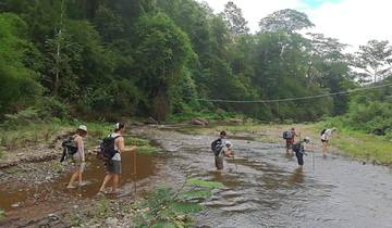 People crossing a shallow river in a forest area.