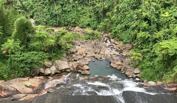 River with rocks and lush vegetation.