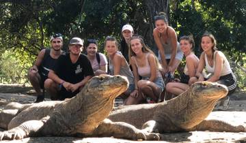 Group posing with Komodo dragons