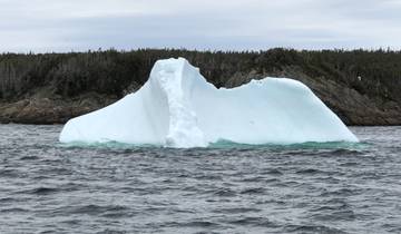 Large iceberg floating near a forested island.