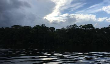 Dark silhouette of a jungle across a river.
