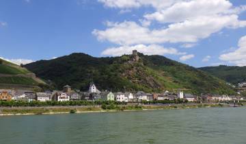 Riverside town with hillside vineyards and a castle ruin.