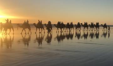 Line of camels with riders walking along the beach during sunset.