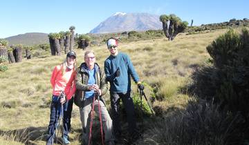 Three people posing with hiking poles on a grassy terrain with a mountain in the background.