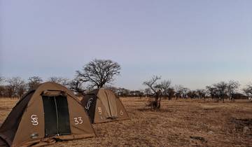 Camping tents set up in a dry savannah landscape.