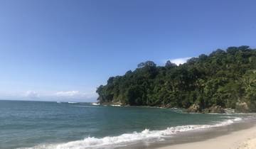 Pristine tropical beach with lush greenery and gentle waves.