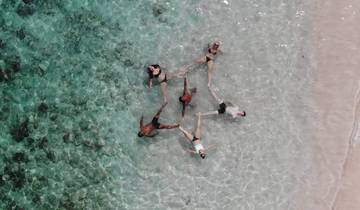 Aerial view of people floating in clear turquoise water