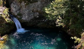 Waterfall plunging into a clear pool surrounded by greenery.