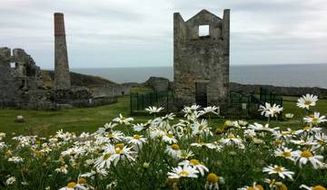Ruins of a building with flowers in the foreground.