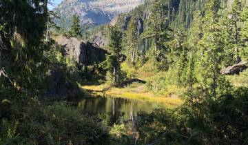Small pond surrounded by trees and mountains.
