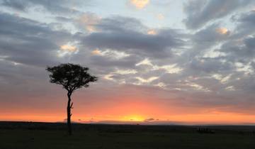 A tree and a safari vehicle against a colorful sunset.