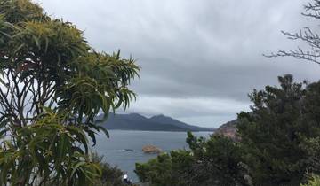 Ocean view with lush greenery and misty mountains in the background.