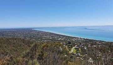 Coastal view with a long sandy beach and urban area.