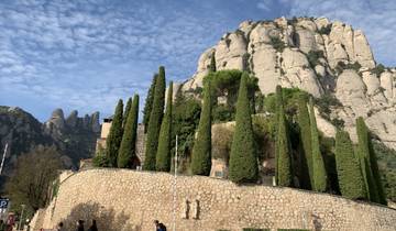 Cypress trees line a hillside against Montserrat mountain backdrop.