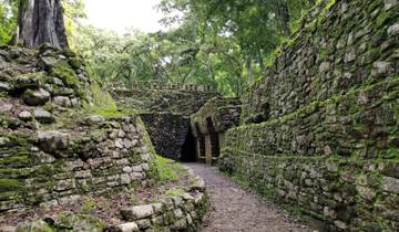 Stone ruins covered with moss in the jungle.