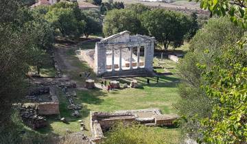 Ancient ruins with columns surrounded by greenery.