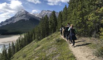 Group hiking along a mountain trail with scenic views.