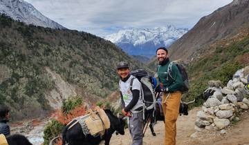 Two hikers with backpacks and yaks on a mountain trail.